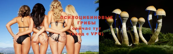 твердый Нязепетровск
