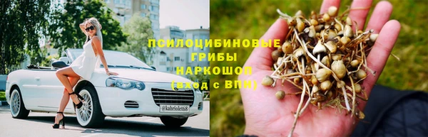 твердый Нязепетровск