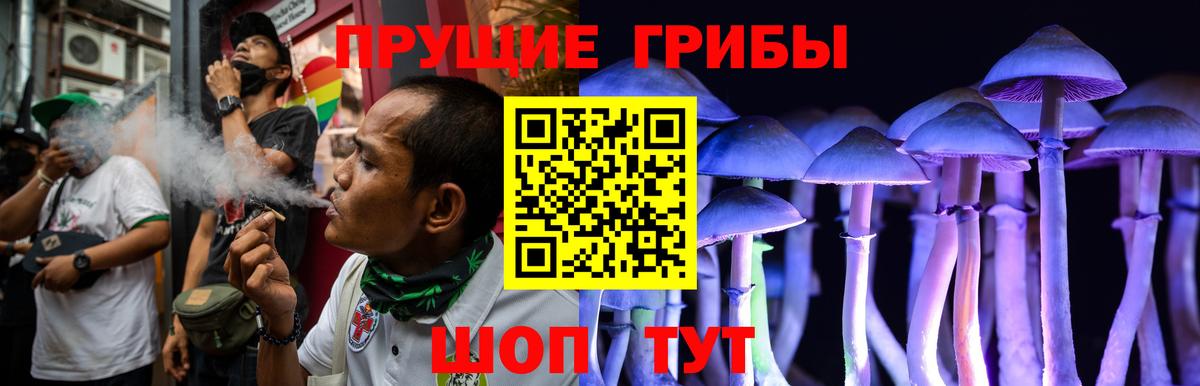 Псилоцибиновые грибы прущие грибы  Вход с VPN  Кыштым  Галлюциногенные грибы MAGIC MUSHROOMS 
