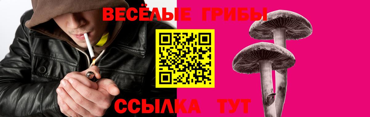 Галлюциногенные грибы прущие грибы Кыштым